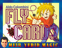 Fly Cards (Aldo Colombini)