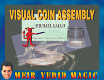 Visual Coin Assembly (Michael Gallo)