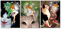 Misty The Cat Fairy Greeting Card Series 3-Pack
