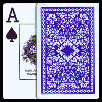 Generic Plastic Blue Playing Cards