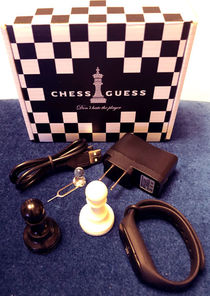 Chess Guess (Chris Ramsay)