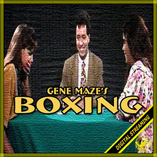 maze-boxing.jpg
