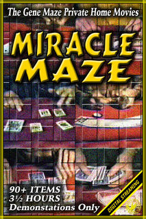 miracle_maze-streamingcover-400x600.jpg