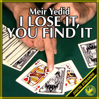 yedid-i-lost-it-500.jpg